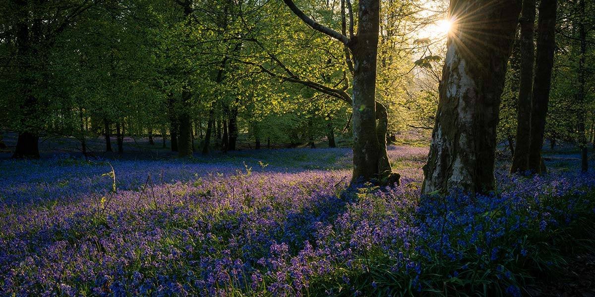 We are People of Action